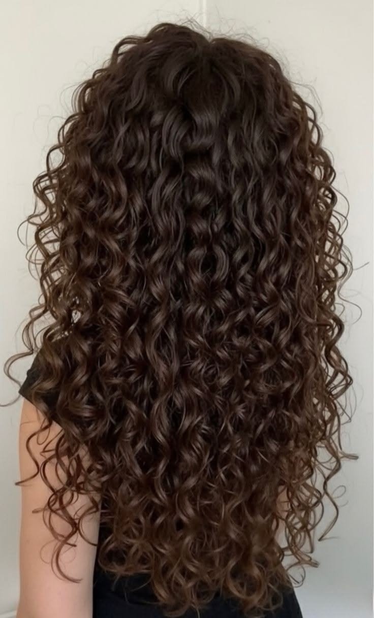 Back view of 3A curly hair with loose spiral curls