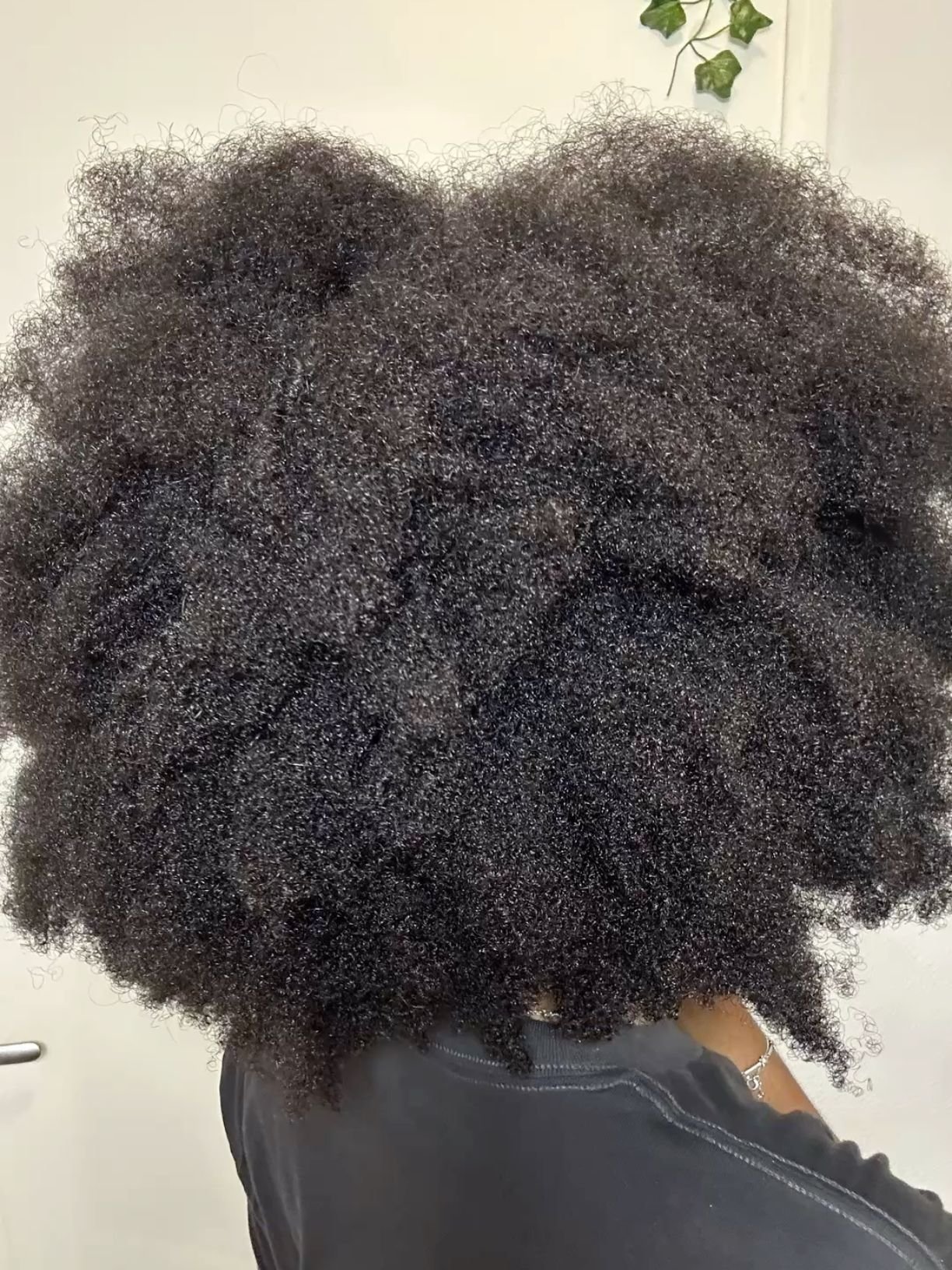 Back view of 4C natural hair with tight coils and shrinkage