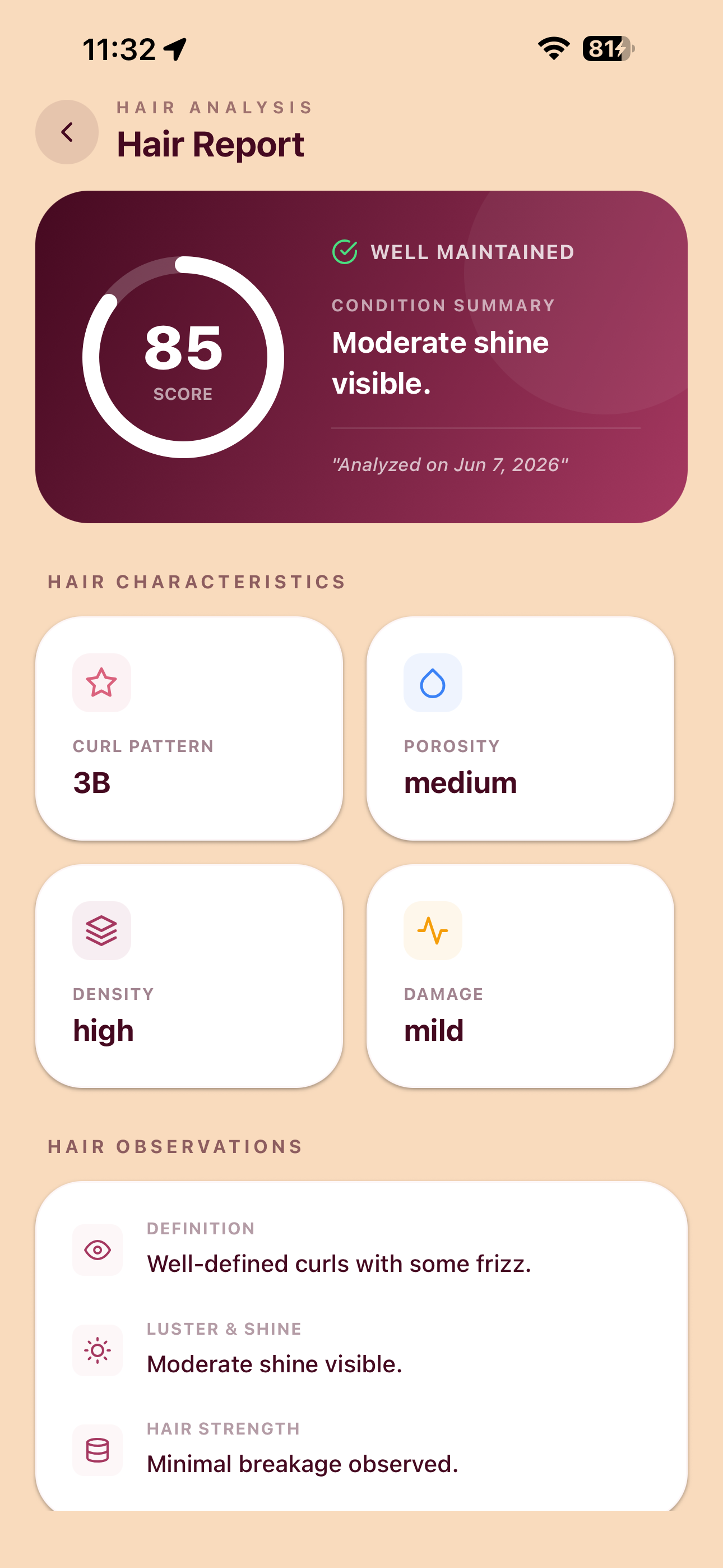 Curltine hair analysis report with curl type, porosity, density, and observations